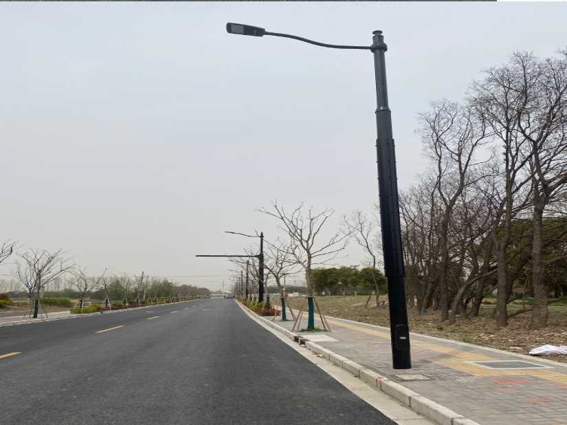顺庆区上海综合杆 太阳能路灯工程